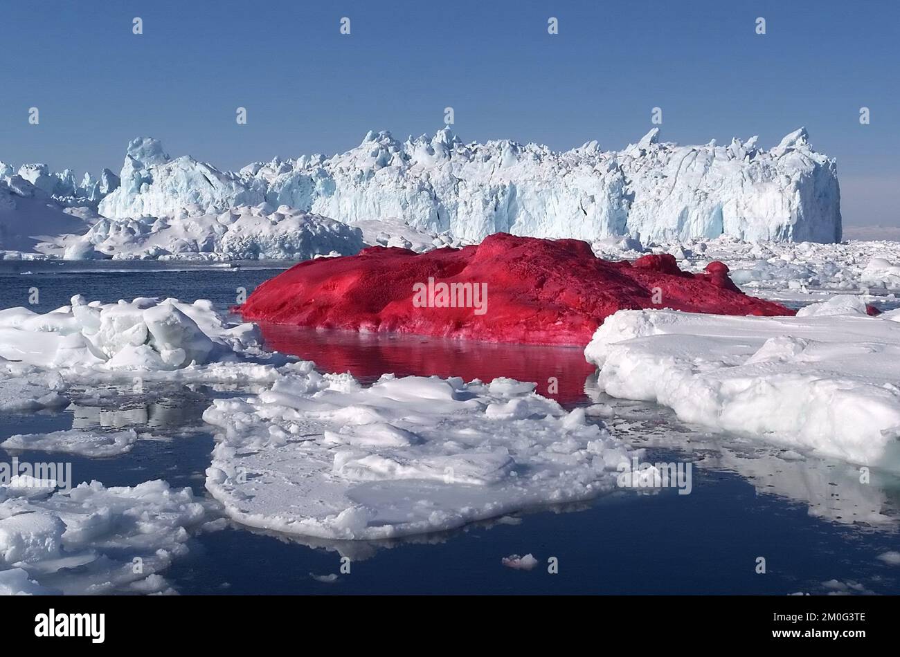 Artist Marco Evaristti needed 790 gallons (3,000 liters) of red paint, three fire hoses, two icebrakers, a twenty-man crew, and two hours to paint an iceberg in the Ilulissat Fiord, Greenland in 2004. Stock Photo