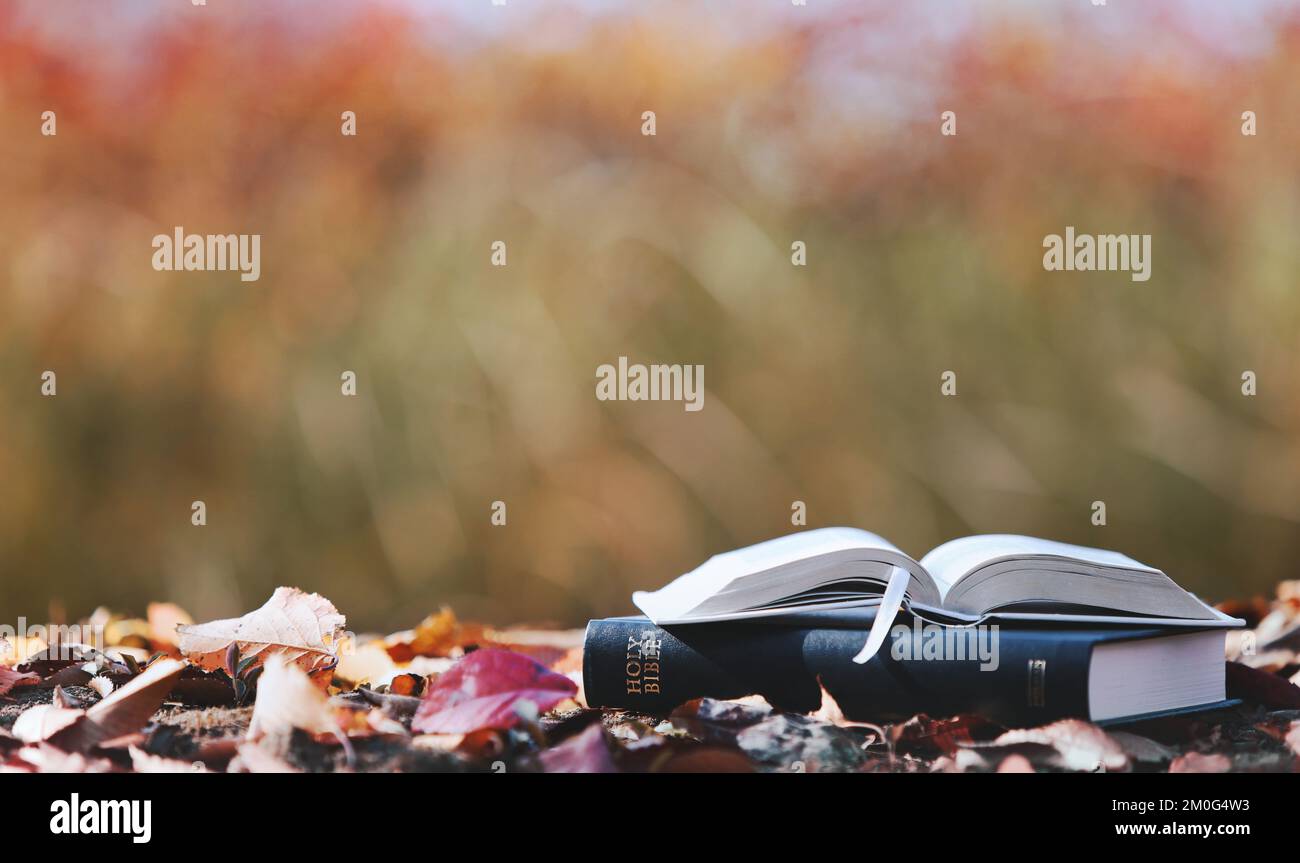 Holy bible book and fallen leaves on red maple leaves and autumn landscape Stock Photo