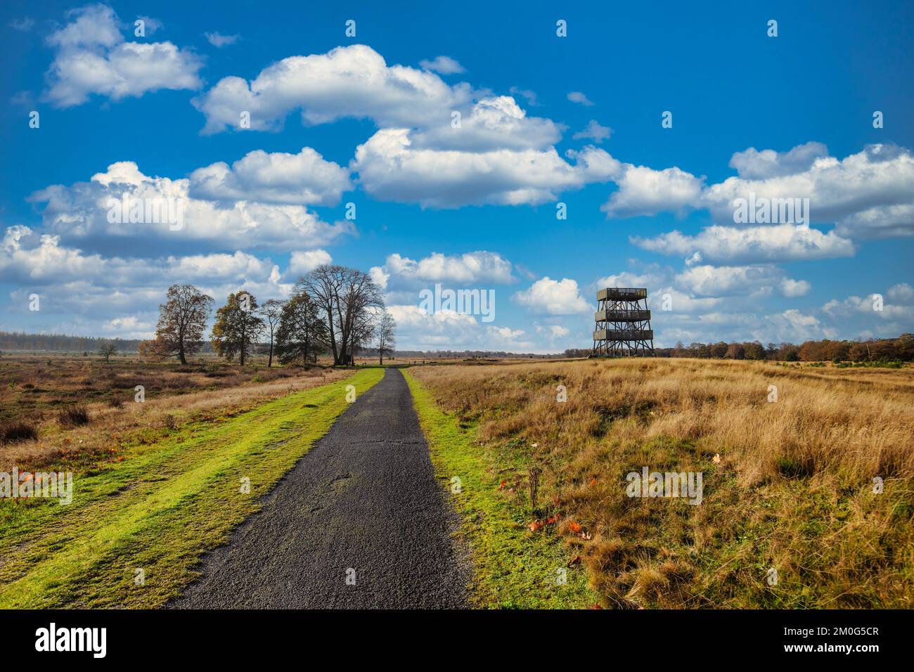 Publicly accessible lookout tower in Het Aekingerzand part of the Nationaal Park Drents-Friese Wold with a view over the sand drifts the Kale Duinen Stock Photo