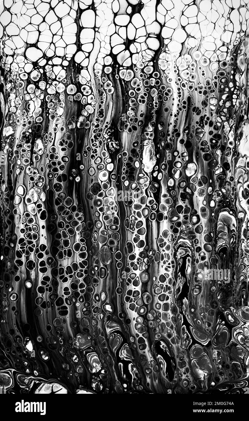 Abstract acrylic black and white painting. Free flowing cells. Pouring. Stock Photo