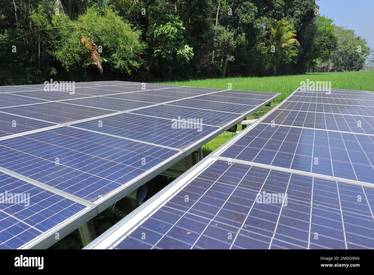 solar electricity to power the water pump in the rice fields Stock Photo