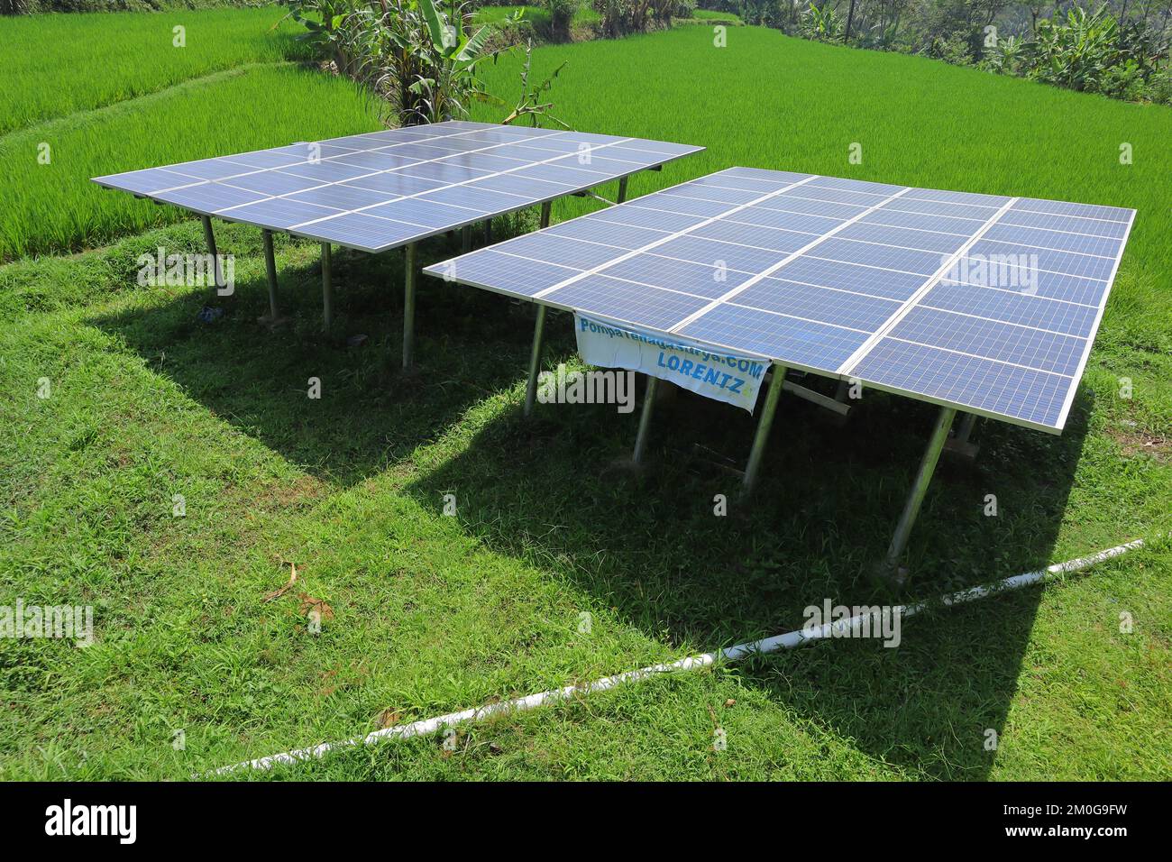 solar electricity to power the water pump in the rice fields Stock Photo