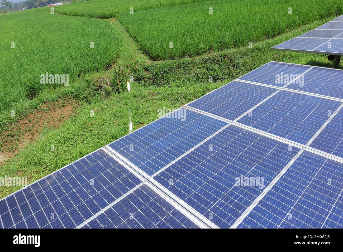 Solar Rice solar electricity to power the water pump in the rice fields Stock ...