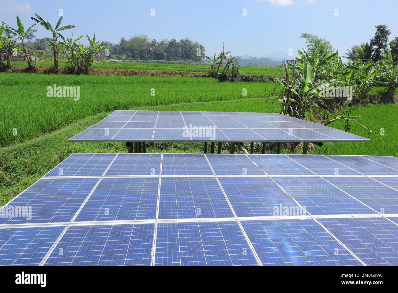 Solar Rice solar electricity to power the water pump in the rice fields Stock ...