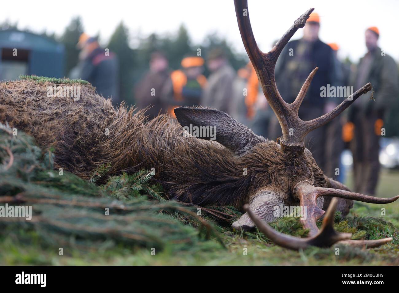 Elend, Germany. 23rd Nov, 2022. After a rummage hunt in the Upper Harz