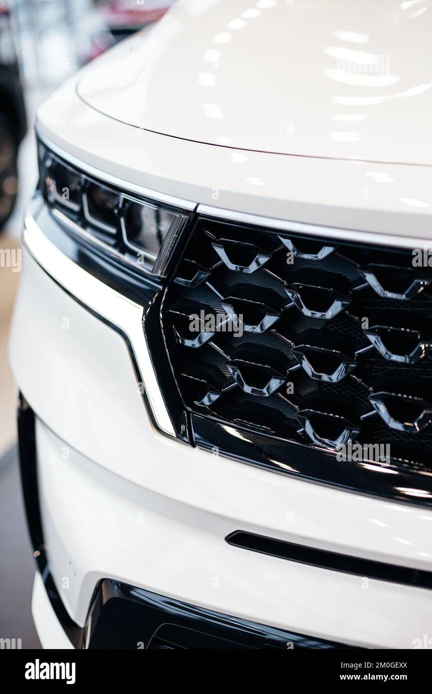 Radiator grille pattern. Car radiator grill close up with water drops
