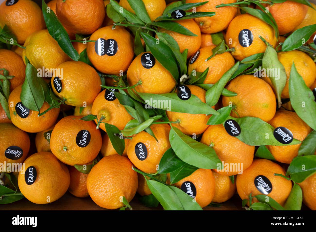 Clementines are displayed at the fruits and vegetables pavilion in the