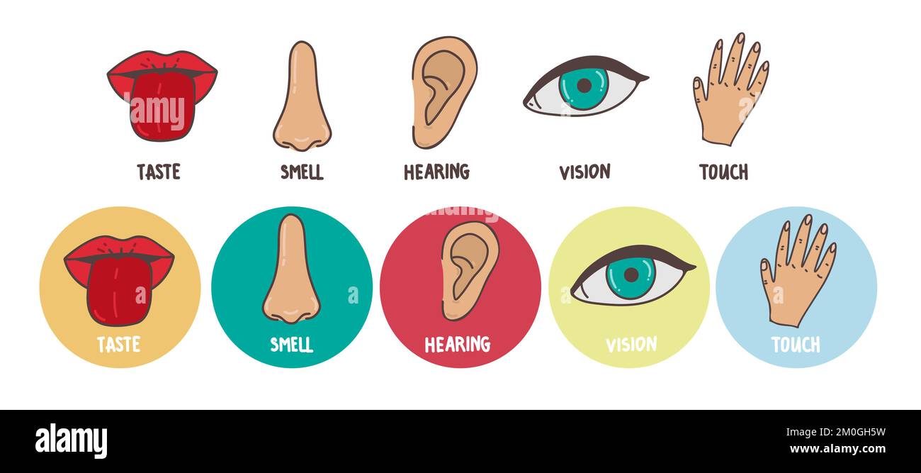 Five human senses line icons set. Vision, smell, hearing, touch, taste icons. Human sensory