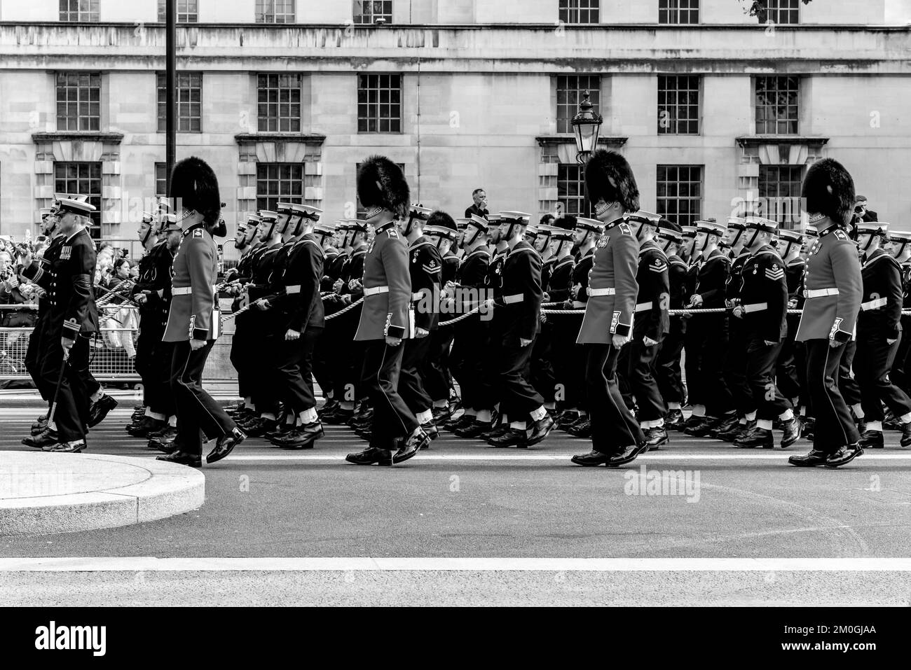 Naval Ratings By Grenadier Guards) Pull The State Gun