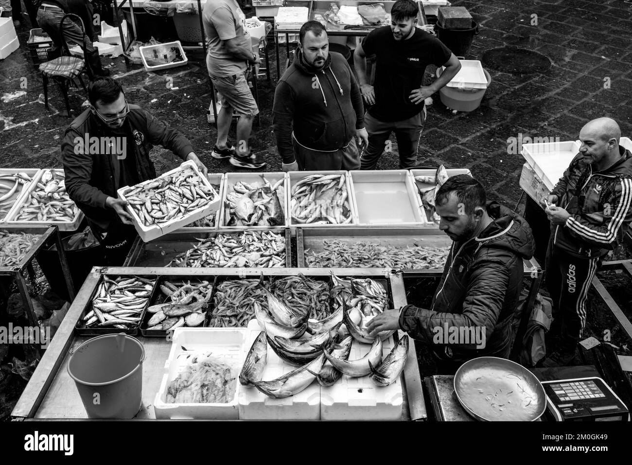 Fresh Fish/Seafood For Sale At The Daily Fish Market, Catania, Sicily