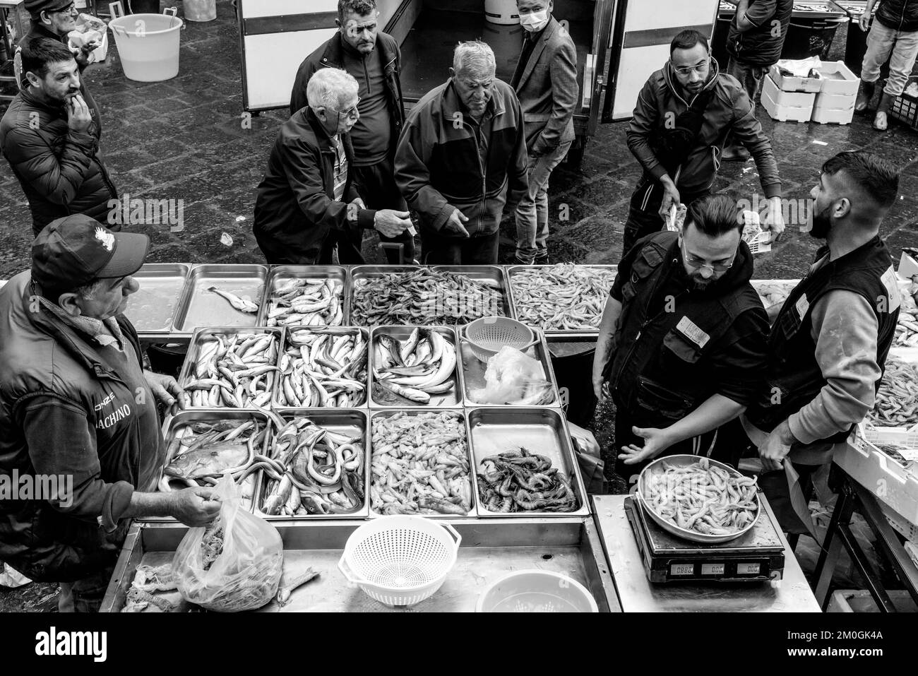Fresh Fish/Seafood For Sale At The Daily Fish Market, Catania, Sicily