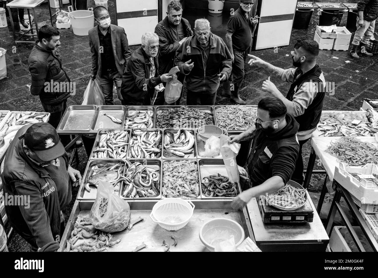 Fresh Fish/Seafood For Sale At The Daily Fish Market, Catania, Sicily