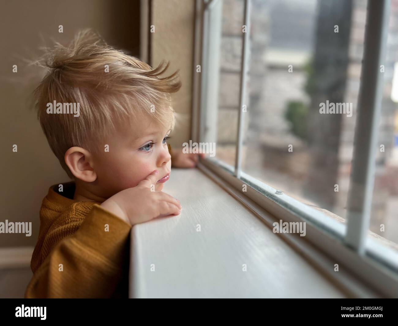 Cute little toddler looking at the window at home, close up portrait  Stock Photo