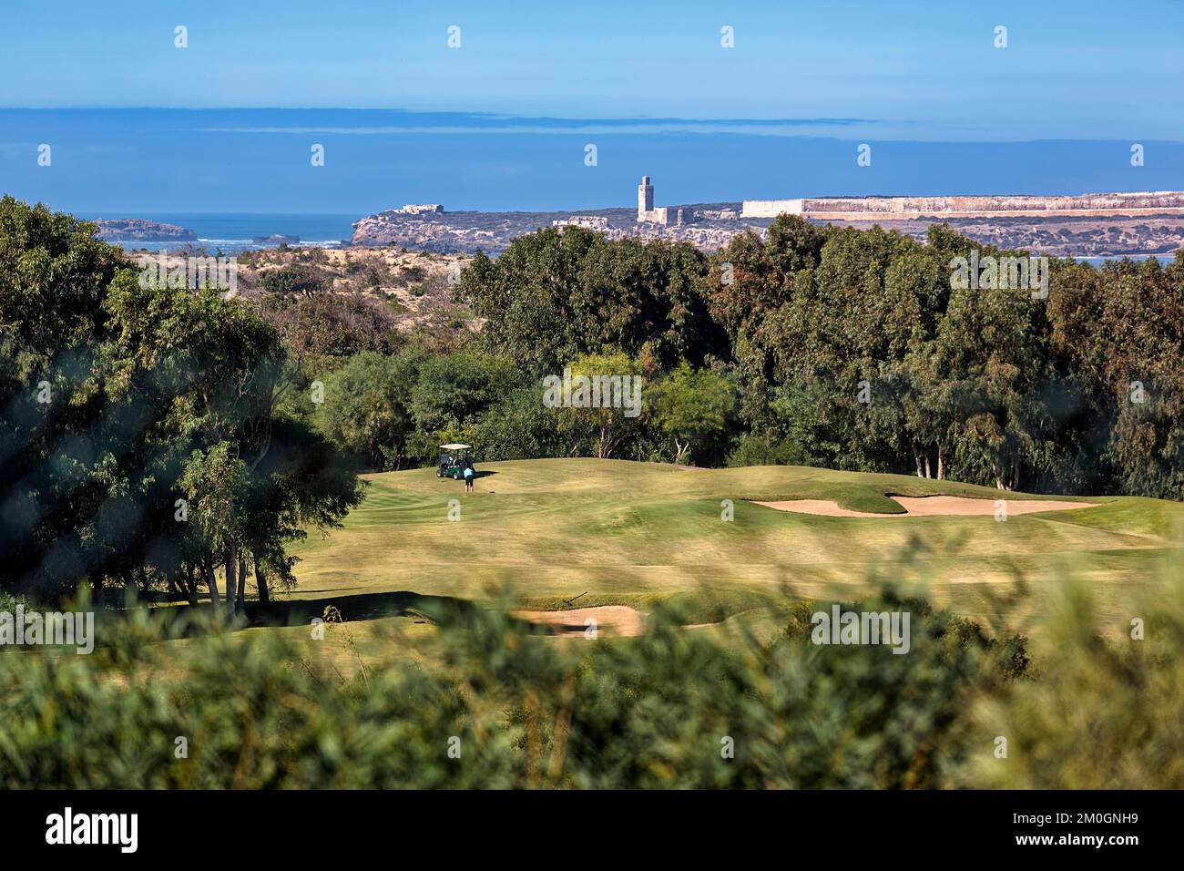 Tourist on golf course overlooking the sea and the ruins of Mogador Island, Diabat, Essaouira, Morocco, Africa Stock Photo