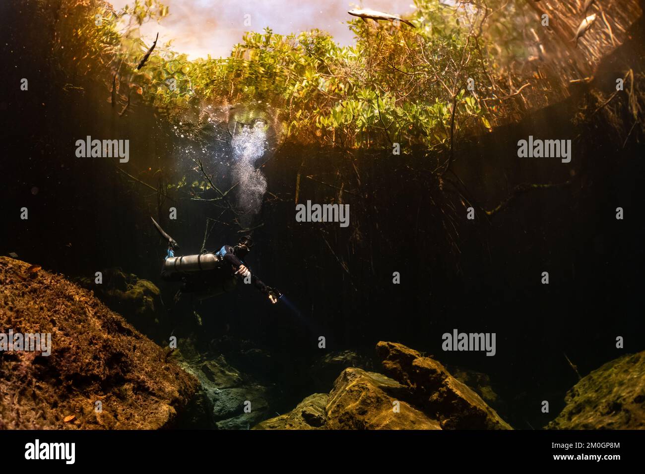 cave diver instructor leading a group of divers in a mexican cenote