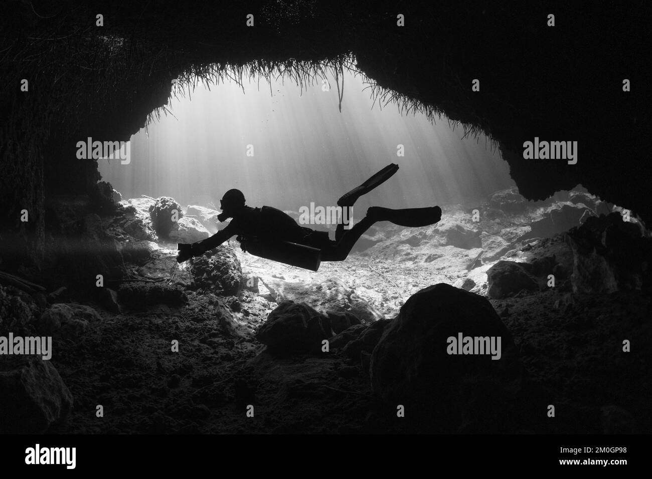cave diver instructor leading a group of divers in a mexican cenote ...