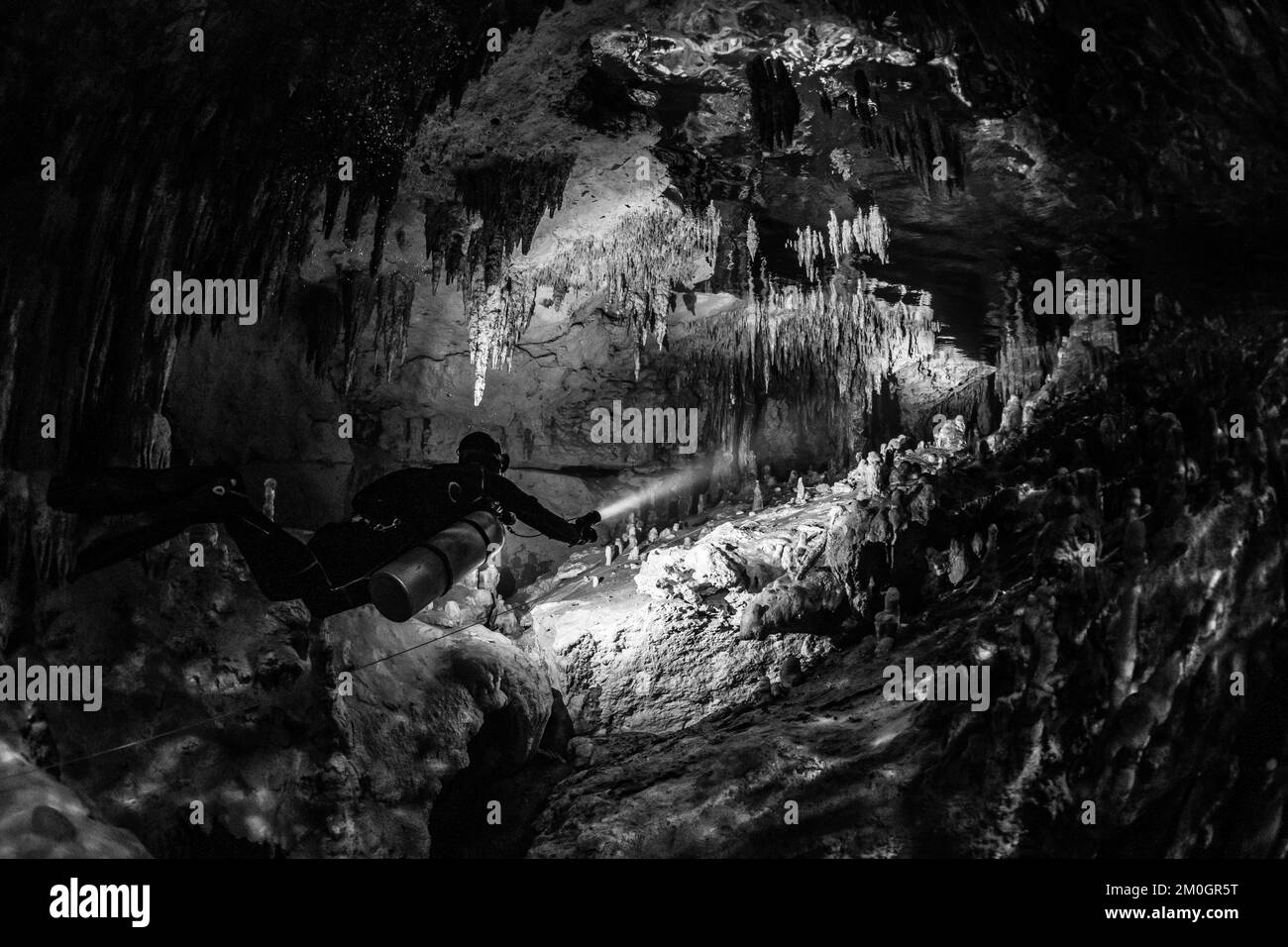 cave diver instructor leading a group of divers in a mexican cenote