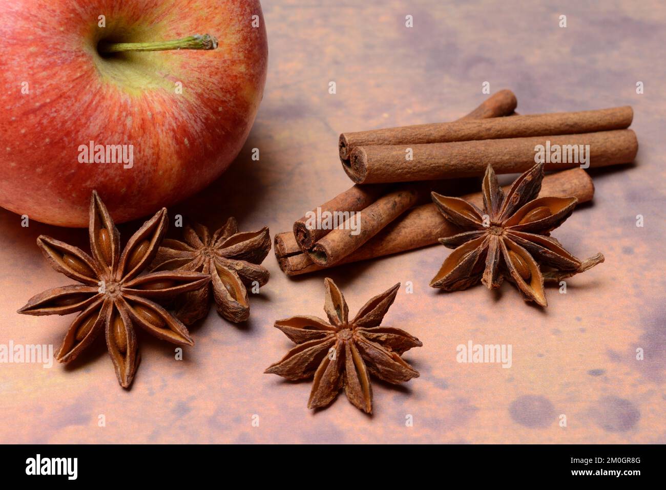 Star anise (Illicium verum) and cinnamon sticks with star anise, Cinnamomum Stock Photo