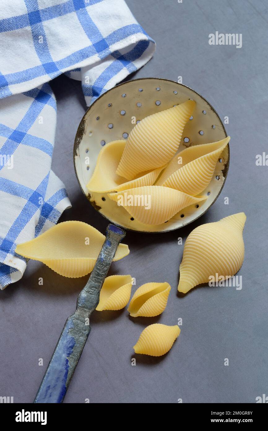 Conchiglione and small conchiglie with sieve ladle, shell pasta, pasta