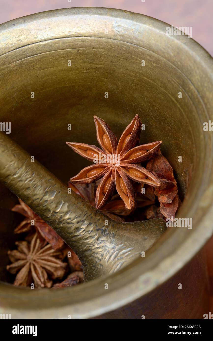 Star anise (Illicium verum) in star anise Stock Photo