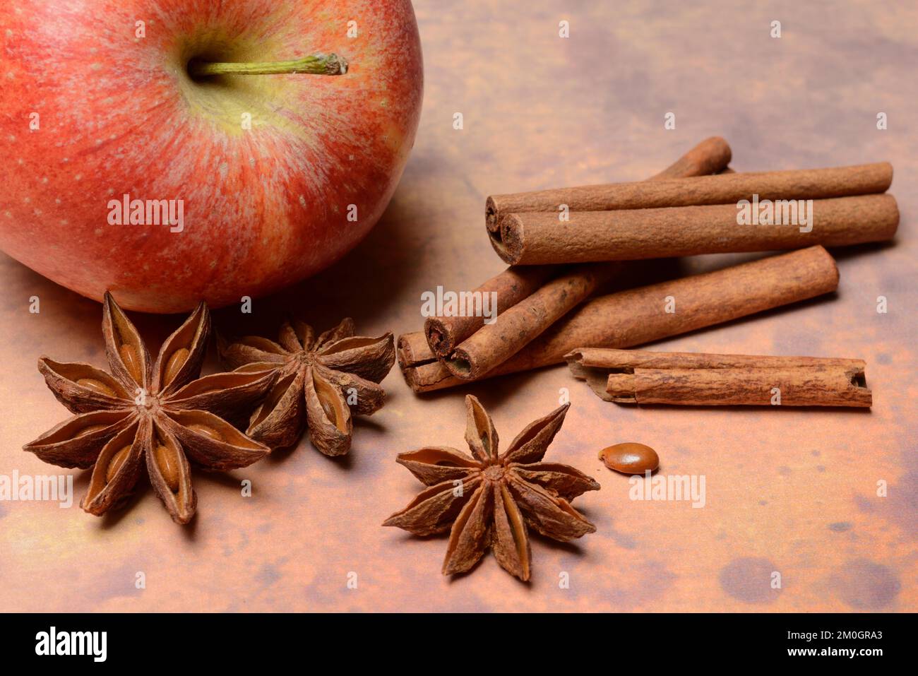 Star anise (Illicium verum) and cinnamon sticks with star anise, Cinnamomum Stock Photo