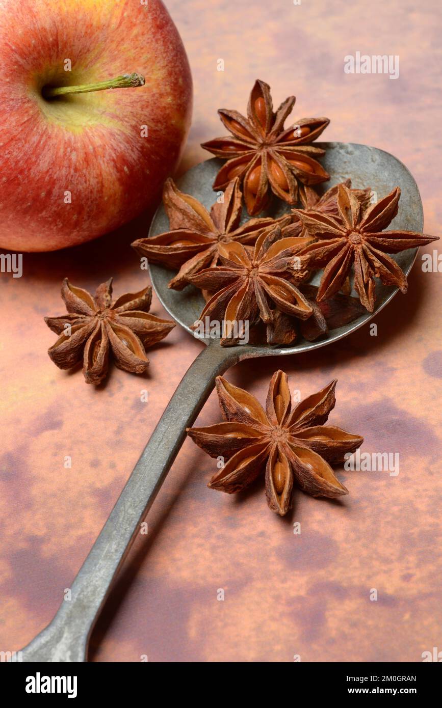 Star anise (Illicium verum) in spoon ladle and star anise Stock Photo