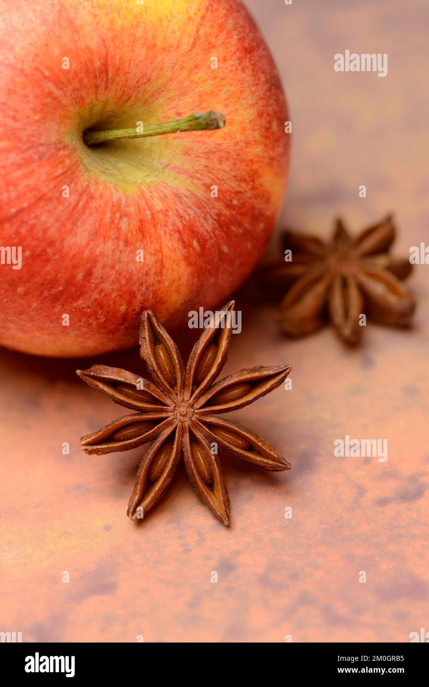 Star anise (Illicium verum) and star anise Stock Photo