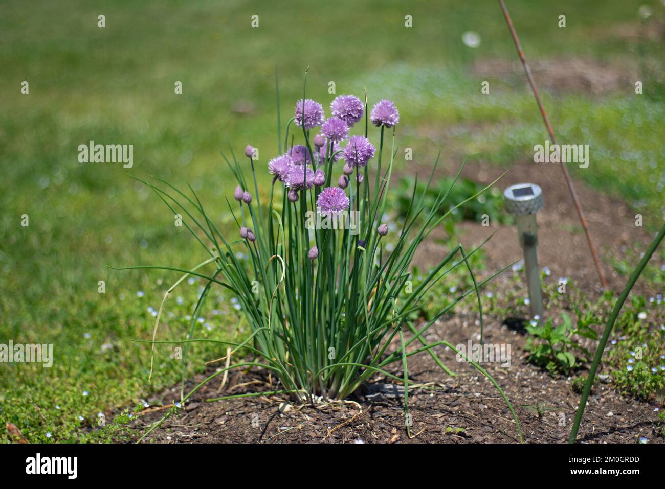 Watauga square apartments hires stock photography and images Alamy