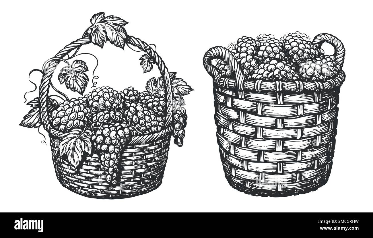 Basket of fruit on white Black and White Stock Photos & Images - Alamy