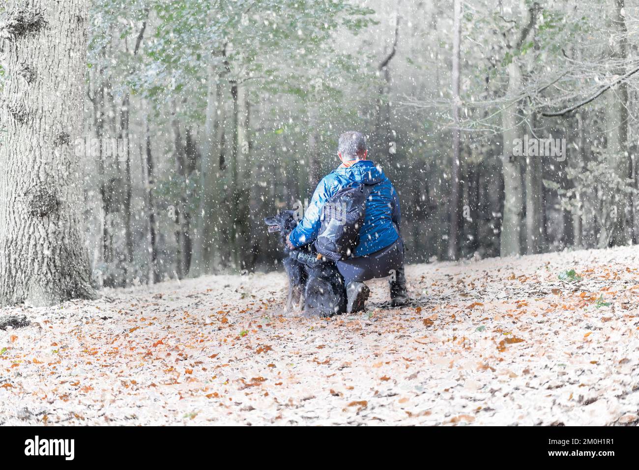 Kneeling man rear view hi-res stock photography and images - Alamy