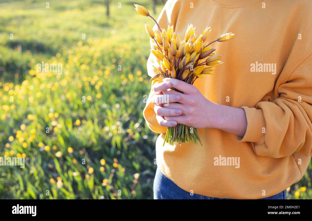 girl holding a bouquet of bright yellow tulips in her hands Stock Photo