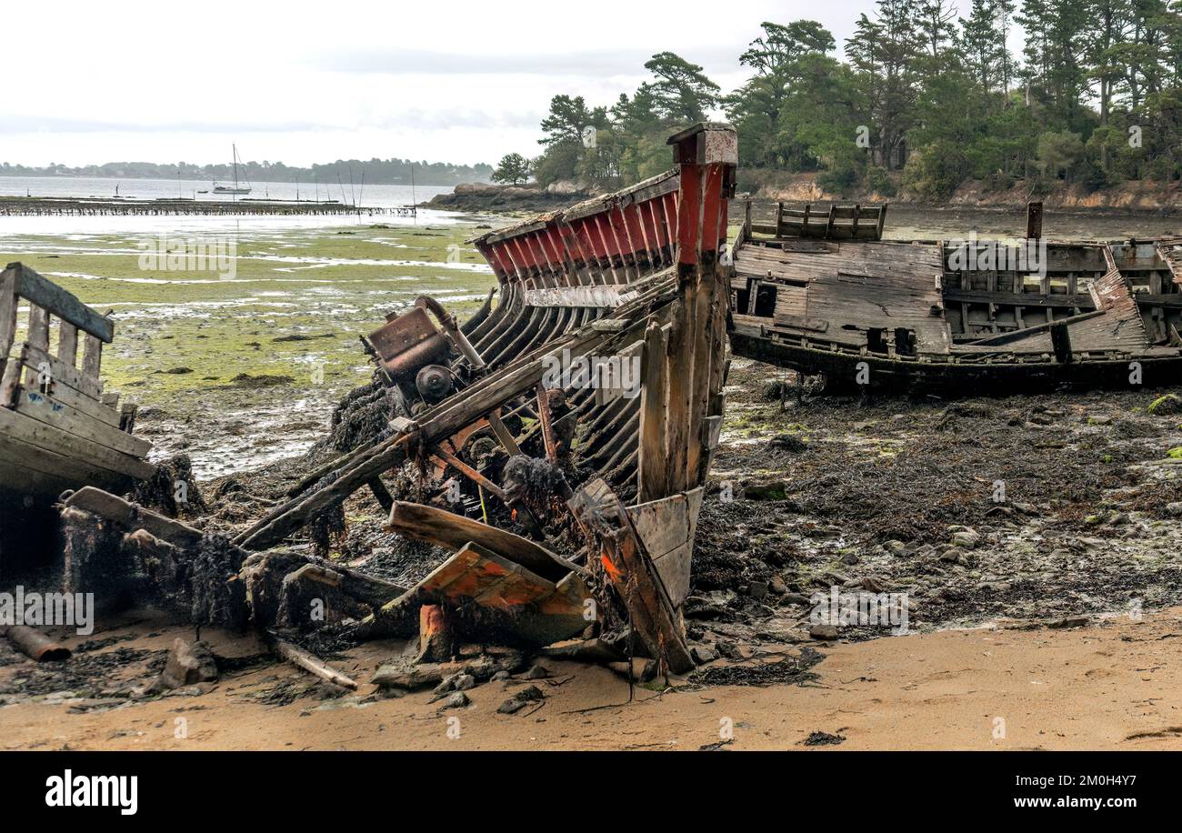 Shipwreck, abandoned boat, ship graveyard. Rotting boats lie abandoned on the shore. Stock Photo