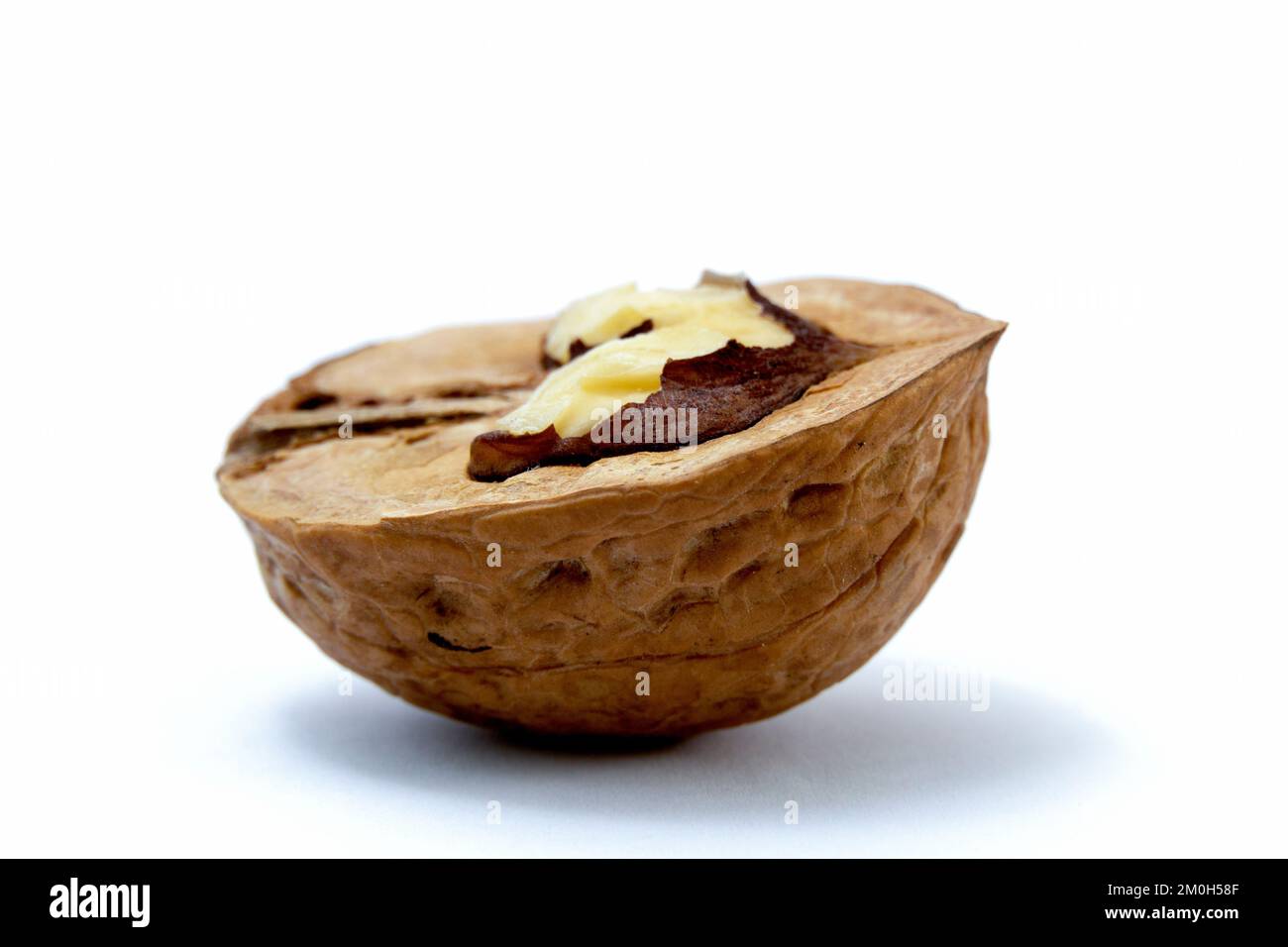 Half of walnut, isolated on white background,close up Stock Photo