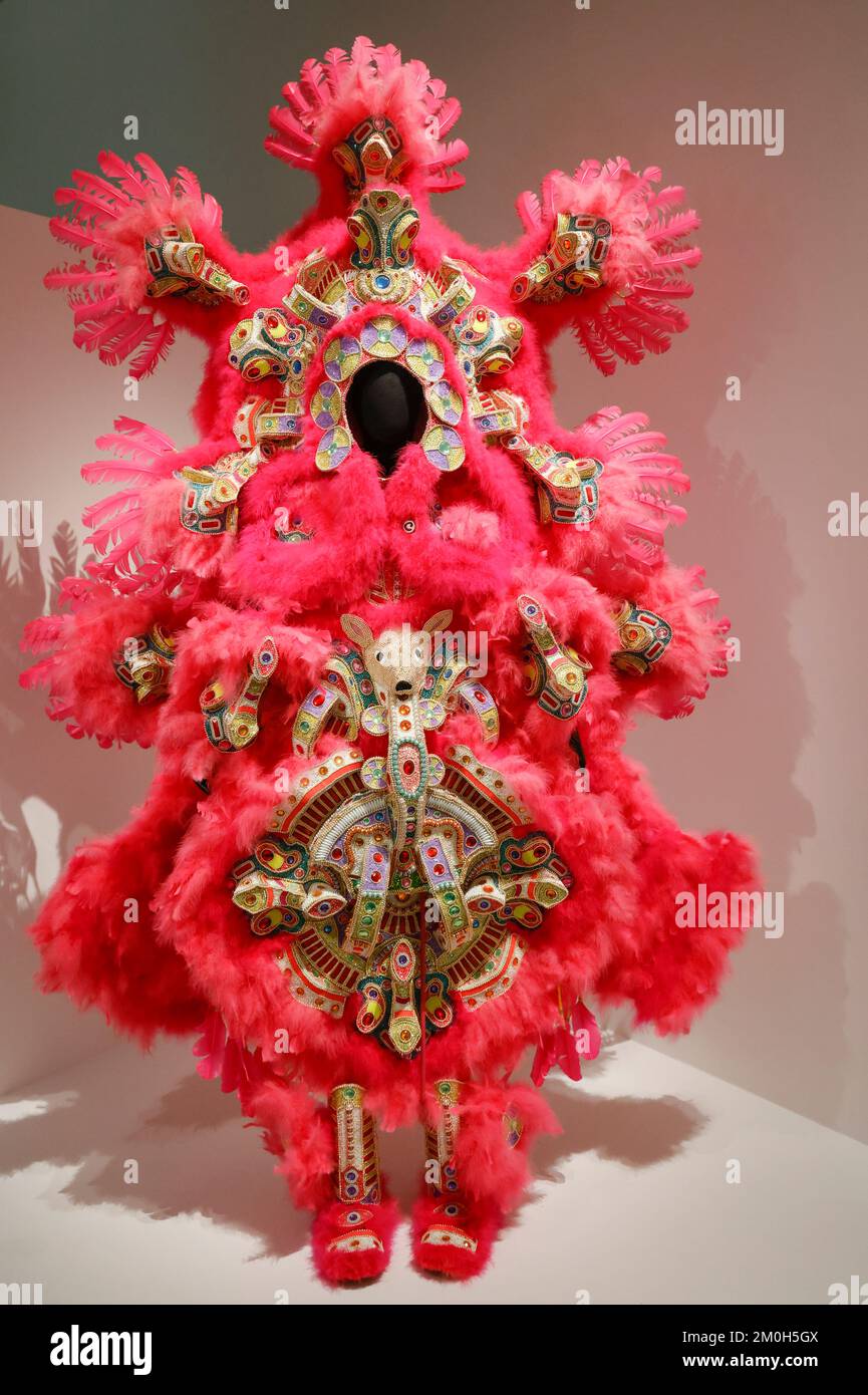 BLACK INDIANS EXHIBITION AT THE QUAI BRANLY MUSEUM Stock Photo