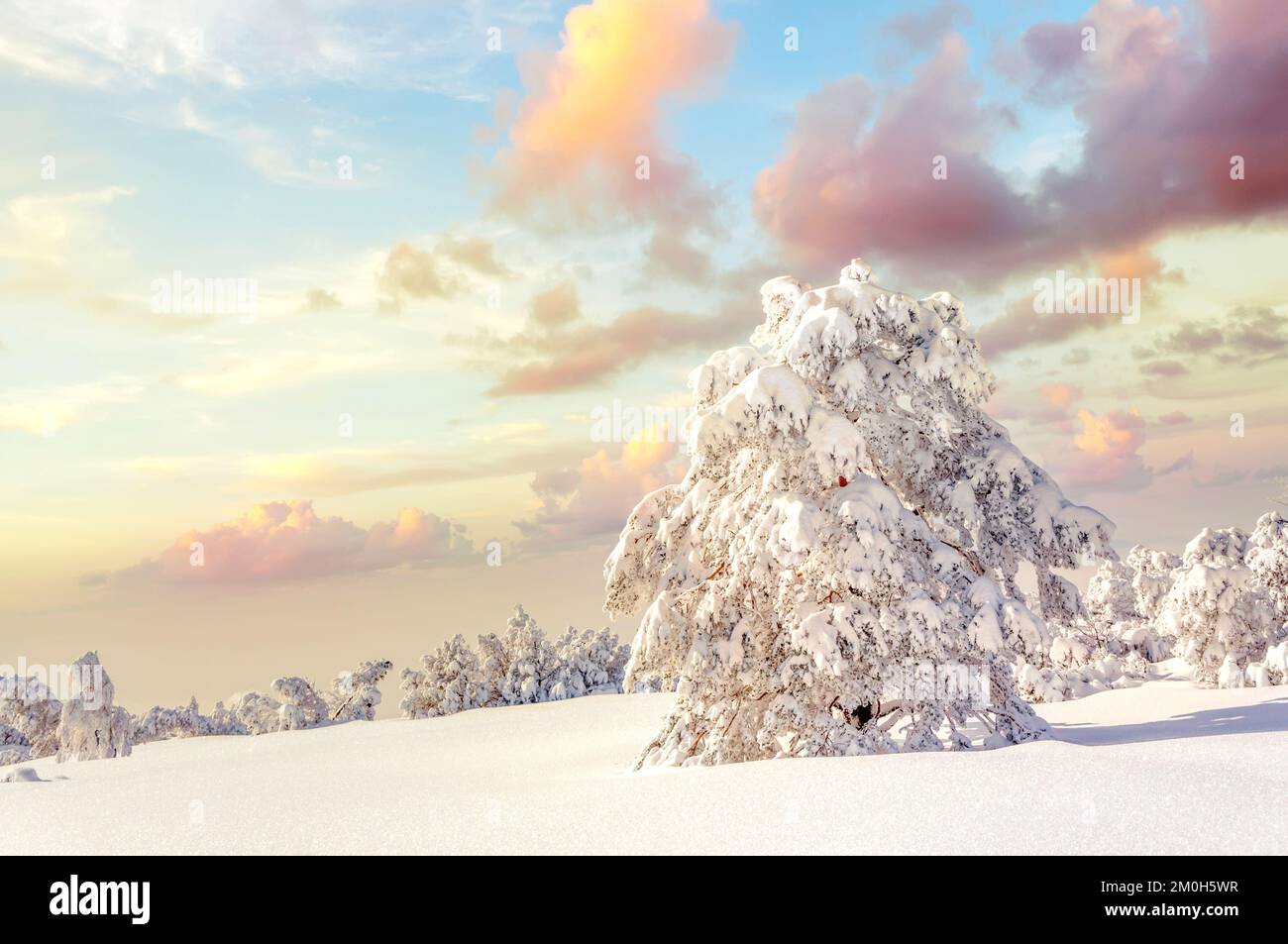 Atmospheric winter snow landscape hi-res stock photography and images ...