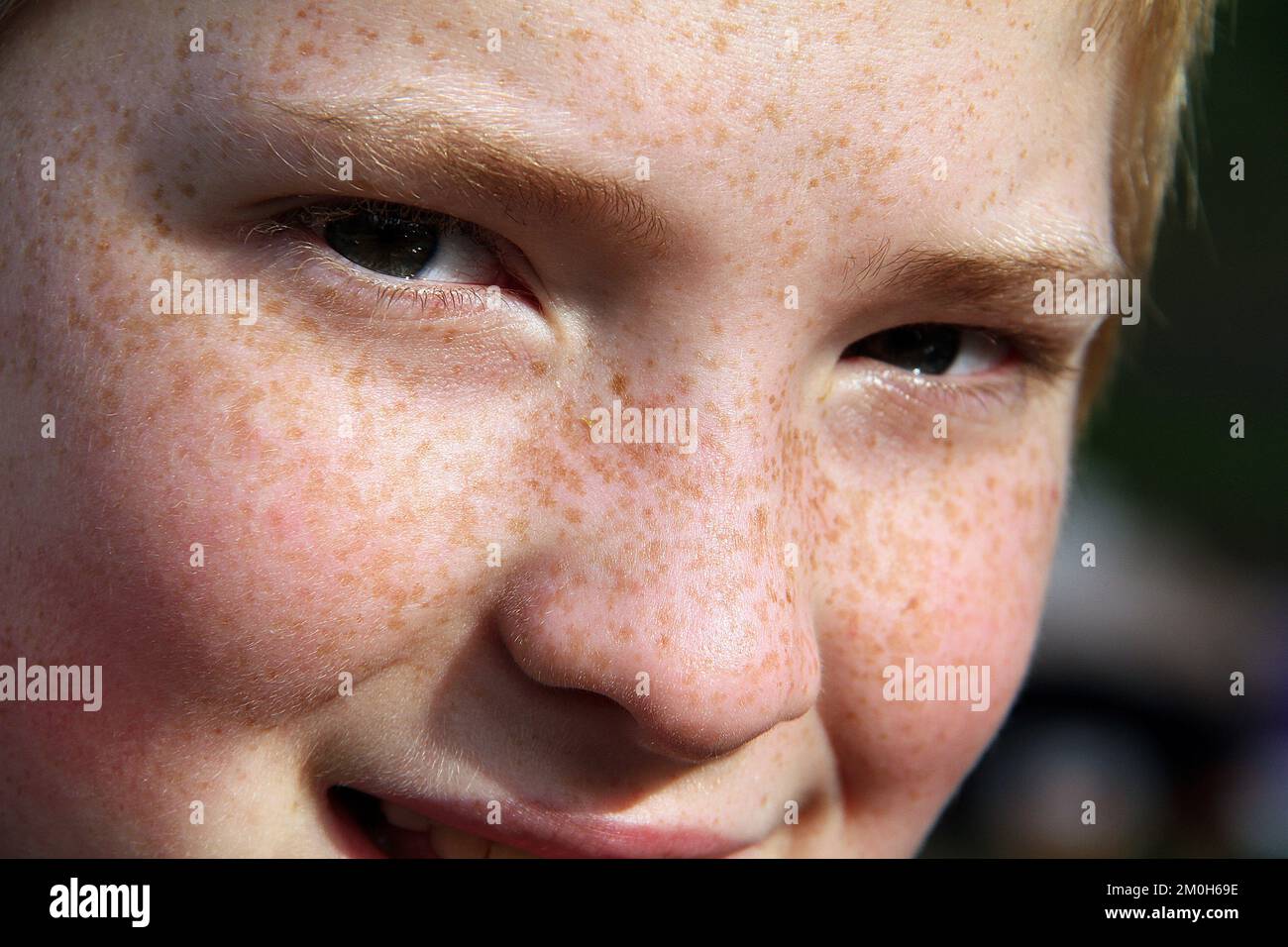Portrait of young boy with freckles Stock Photo