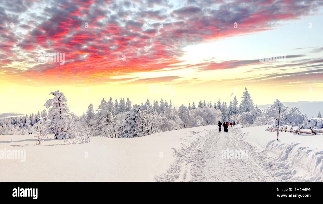 Black forest landscape germany hi-res stock photography and images - Alamy