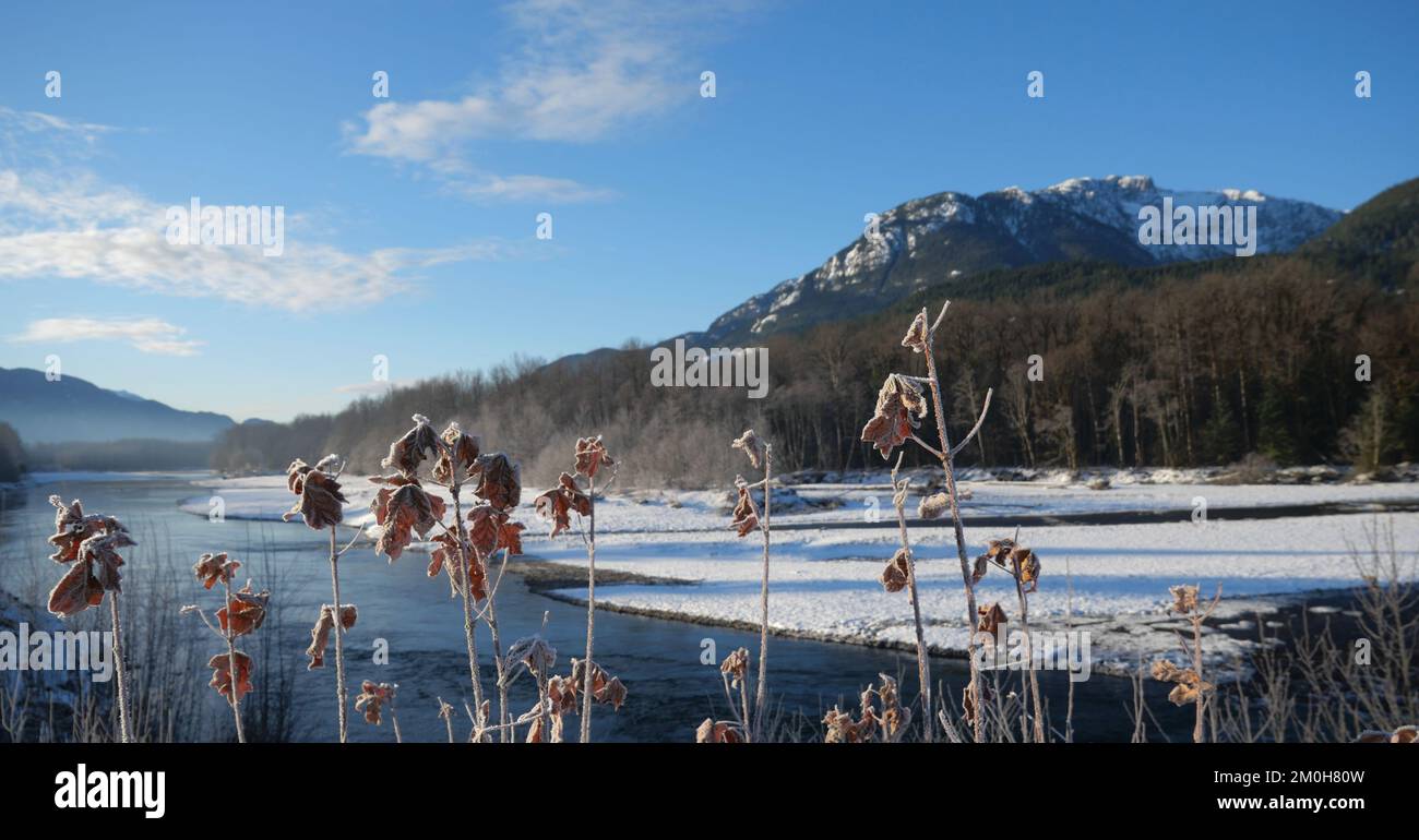 Winter landscape of the Eagle Run dike in Brackendale, Squamish, British Columbia, Canada Stock