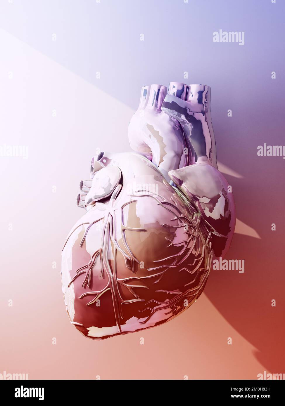 glossy toned human heart with ray of light. 3d rendering Stock Photo ...