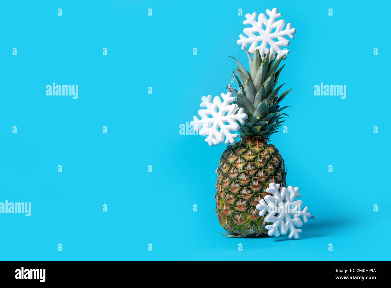 A whole pineapple on a bright blue background with hanging snowflakes, copy space. Pineapple like a Christmas tree. Christmas and New Year in hot coun Stock Photo