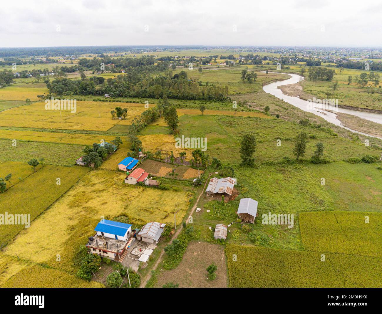 Nepal, Chitwan region, Ratnanagar, rice terraces (aerial view Stock