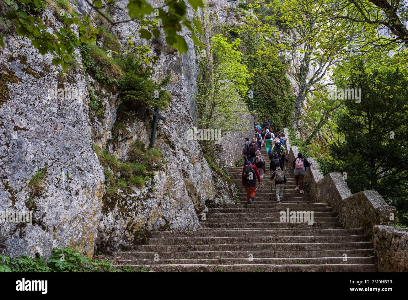 France, Var, Provence Verte, Massif of La Sainte Baume, Plan d'Aups