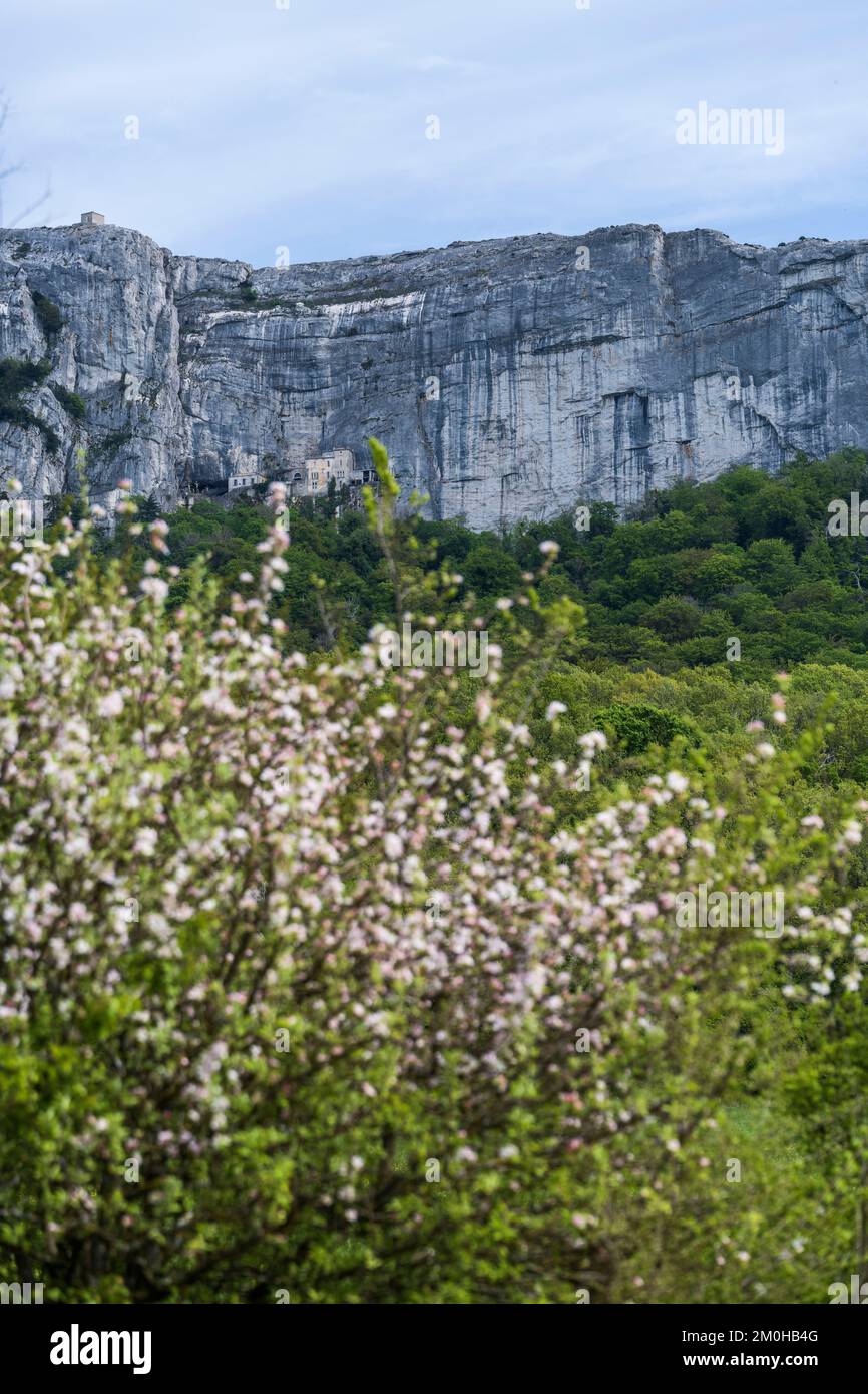 France, Var, Provence Verte, Massif of La Sainte Baume, national forest