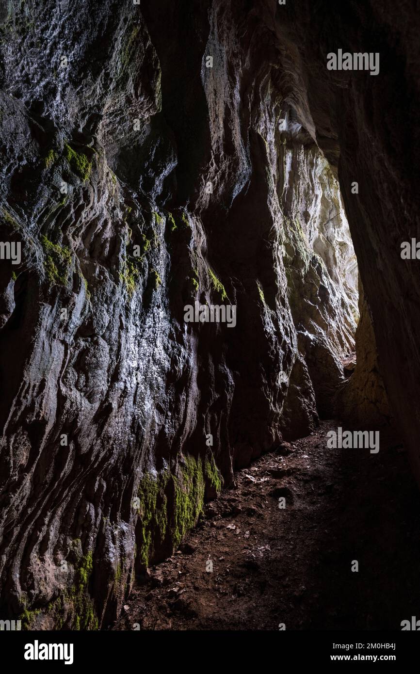 France, Var, Provence Verte, Massif of La Sainte Baume, Plan d'Aups
