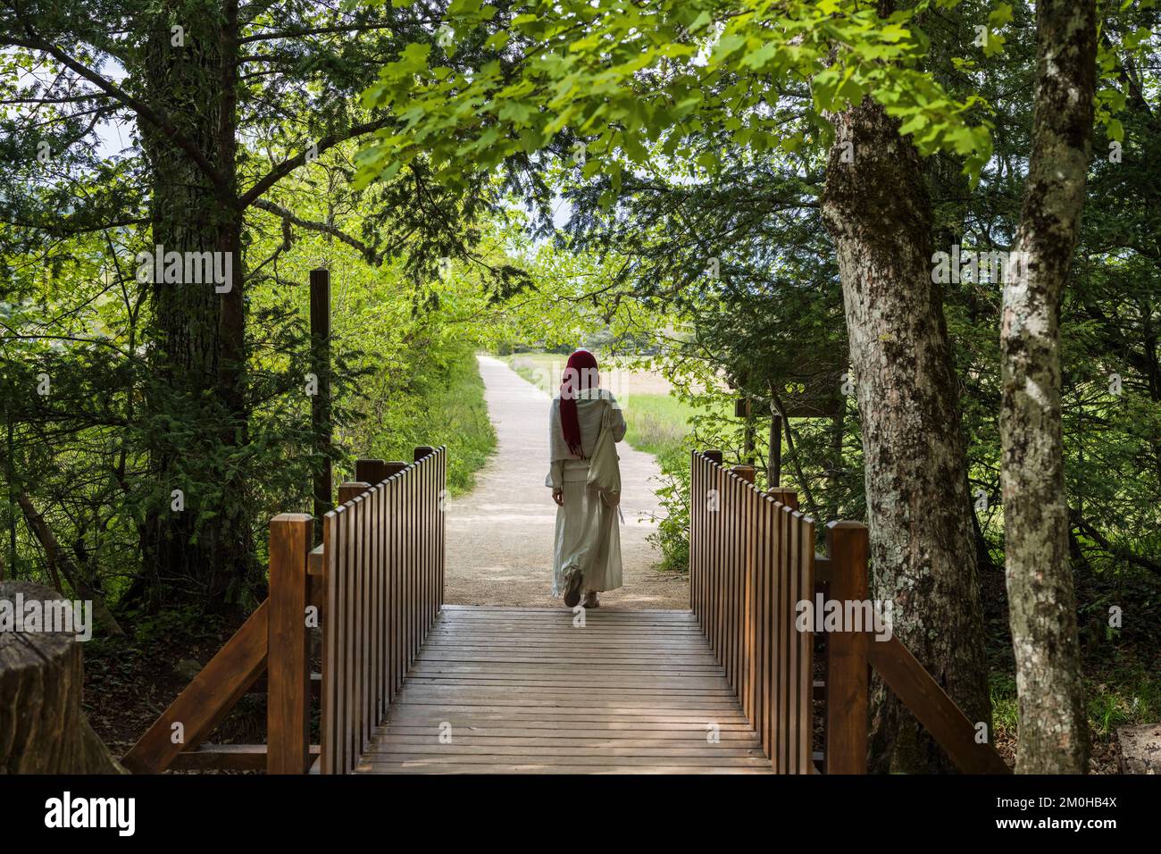 France, Var, Provence Verte, Massif of La Sainte Baume, Plan d'Aups