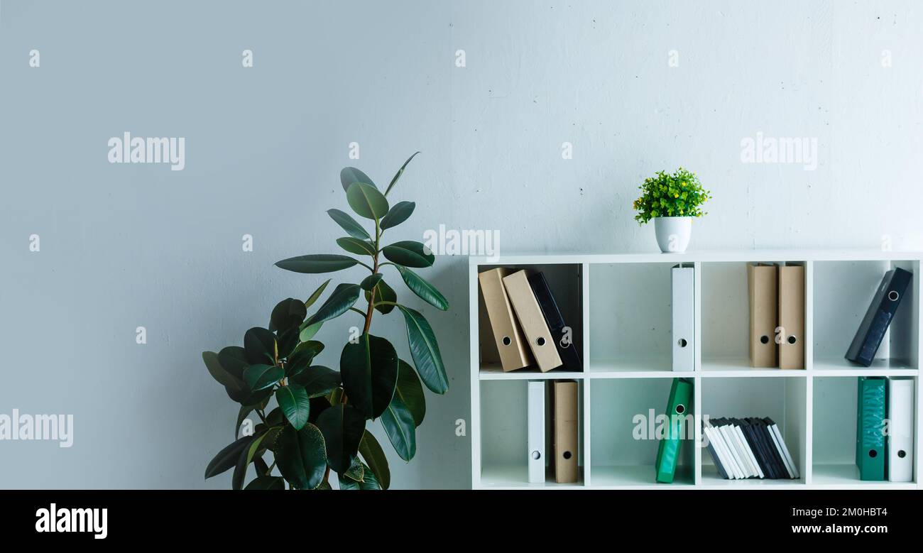 File folders, standing on the shelves at office Stock Photo