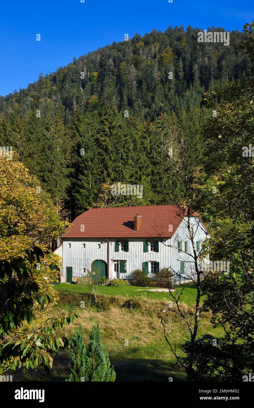 France, Vosges, Le Valtin, village in the upper valley of the Meurthe, facade of house covered