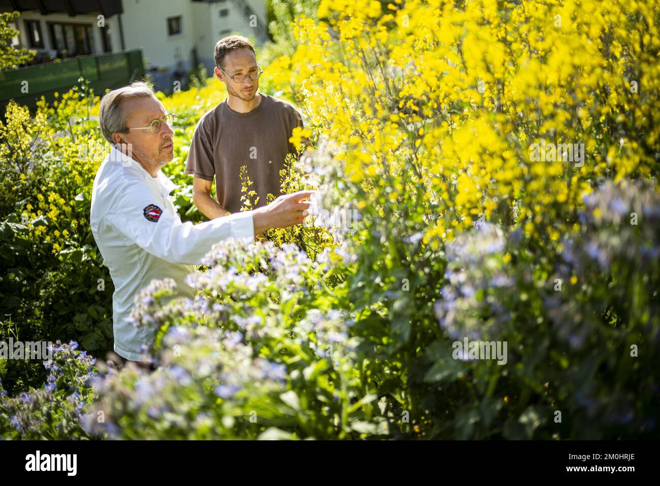 France, Haute Savoie, Annecy le Vieux, Le Clos des Sens gastronomic restaurant, chef Laurent Petit, with Lionel Perron, gardner Stock Photo