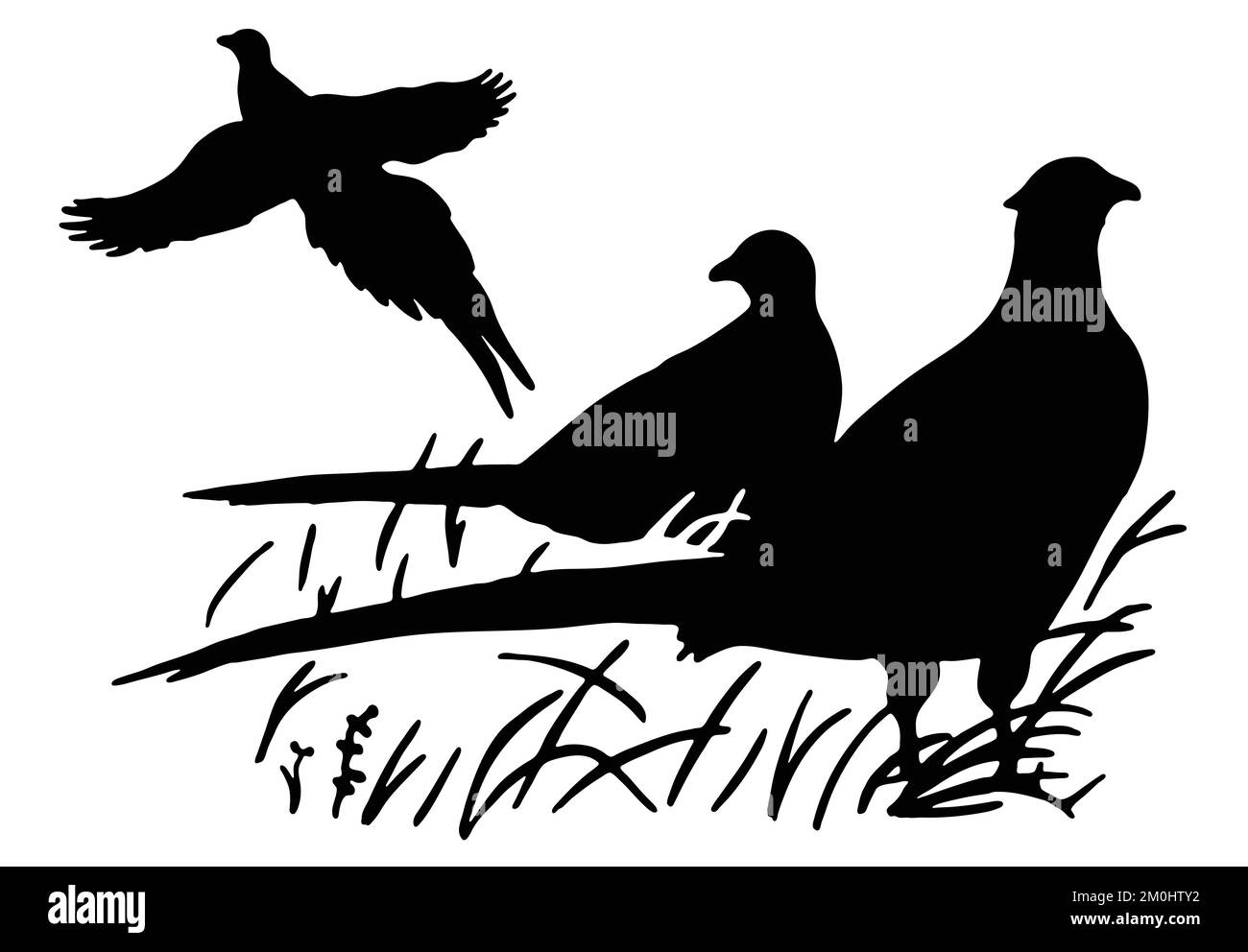 Black outline flying illustration Cut Out Stock Images & Pictures - Alamy