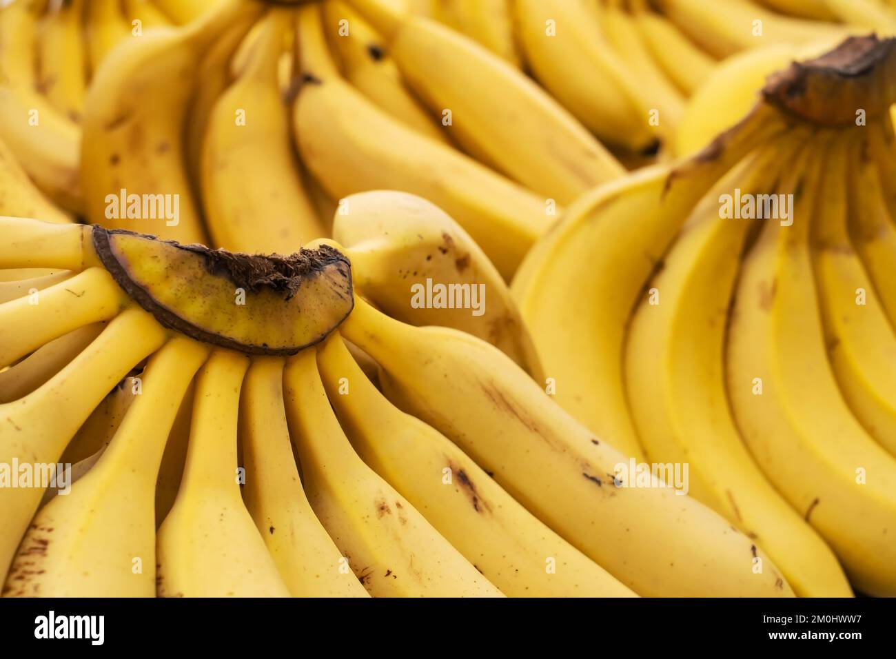 Bunch of ripened bananas at grocery store Stock Photo